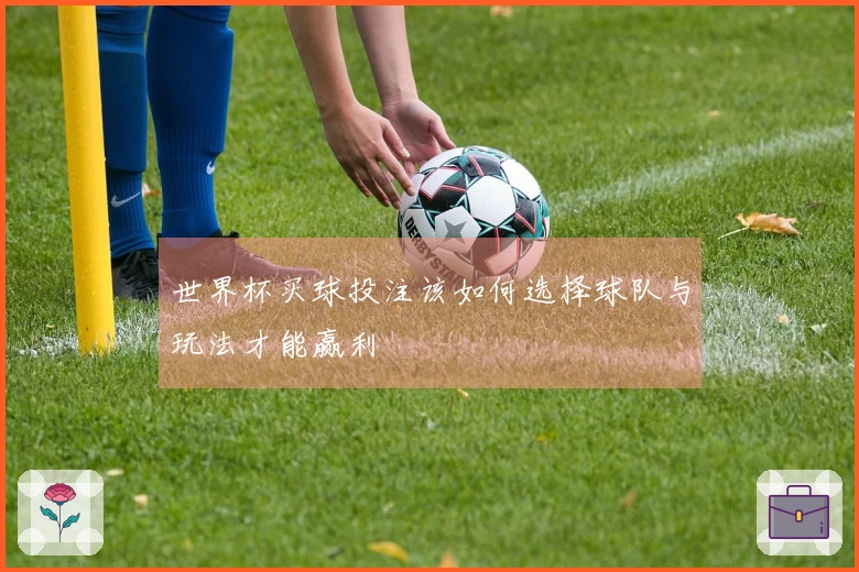 世界杯买球投注该如何选择球队与玩法才能赢利