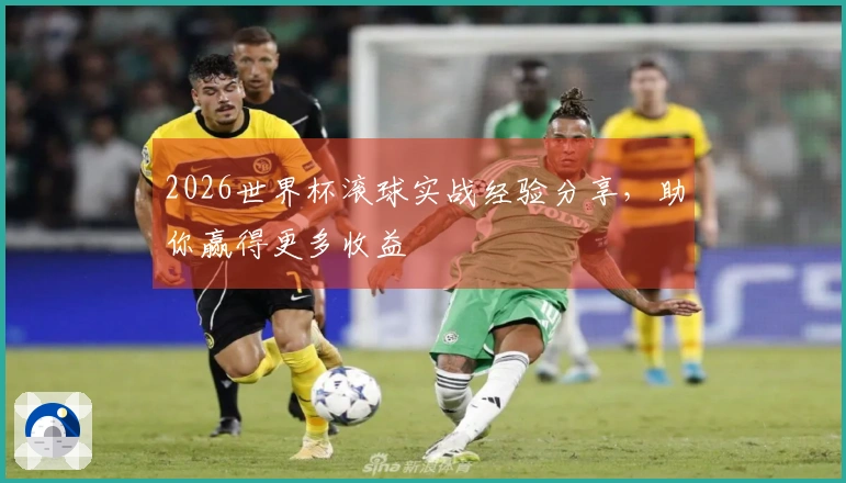 2026世界杯滚球实战经验分享,助你赢得更多收益