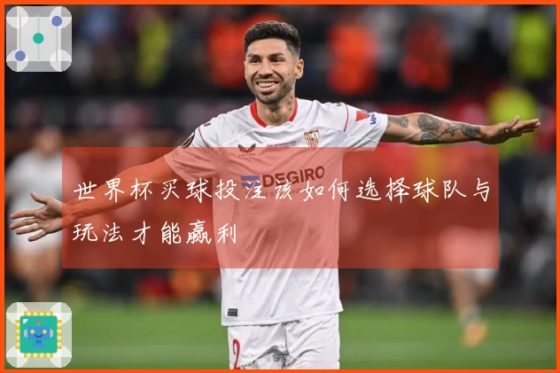 世界杯买球投注该如何选择球队与玩法才能赢利
