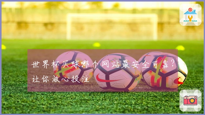 世界杯买球哪个网站最安全可靠?让你放心投注
