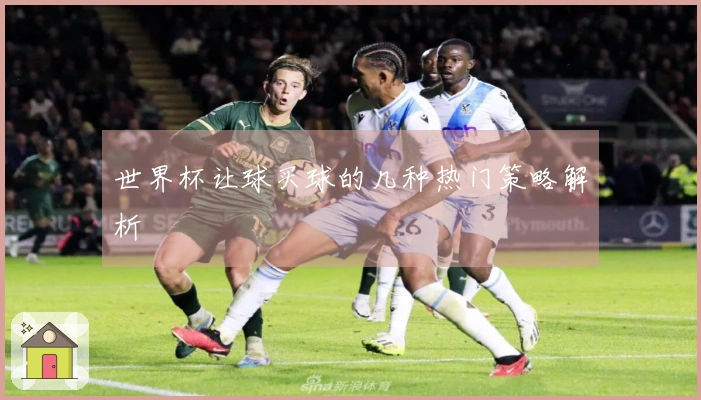 世界杯让球买球的几种热门策略解析