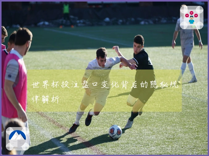 世界杯投注盘口变化背后的隐秘规律解析