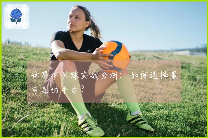 世界杯买球实战分析:如何选择最可靠的平台?