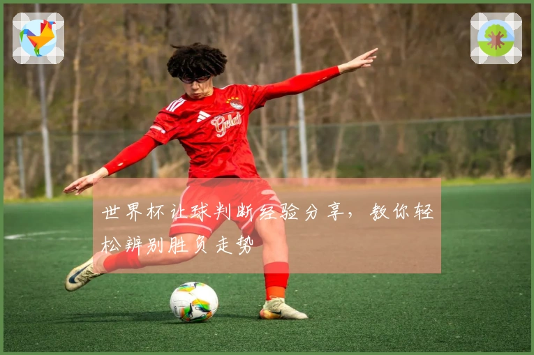 世界杯让球判断经验分享，教你轻松辨别胜负走势